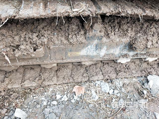 右托链轮+链筋（行走机构）