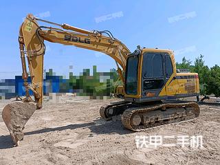 聊城山東臨工E6135F挖掘機實拍圖片
