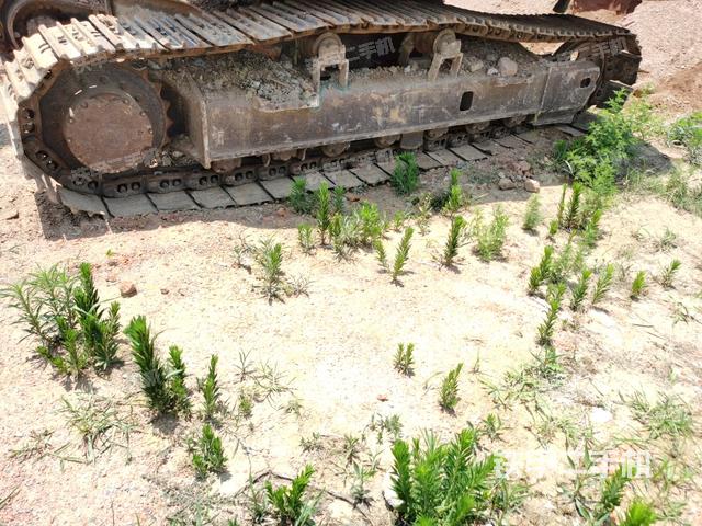 右侧履带整体（行走机构）