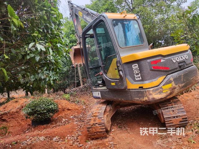 沃尔沃EC55D挖掘机