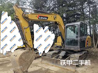 成都雷沃重工FR80E挖掘機實拍圖片