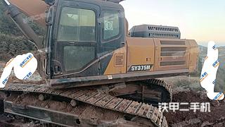 云南-玉溪市二手三一重工SY365H挖掘机实拍照片