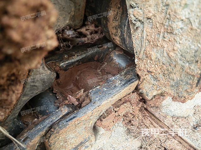 单侧履带整体（整机外观）