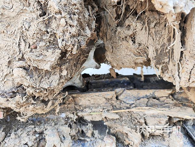 单侧履带整体（整机外观）