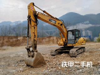 重庆-重庆市二手雷沃重工FR220挖掘机实拍照片