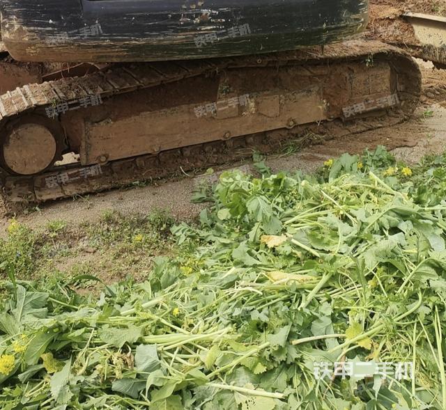 单侧履带整体（整机外观）