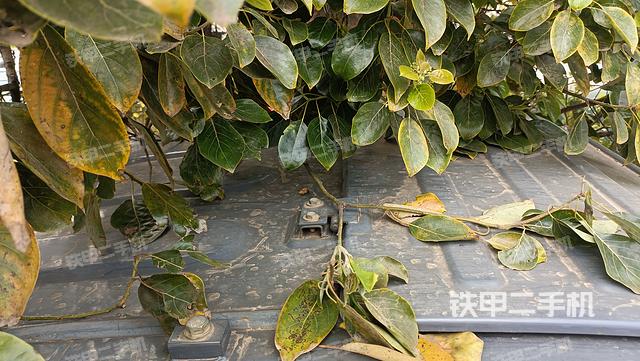 驾驶室顶部（整机外观）