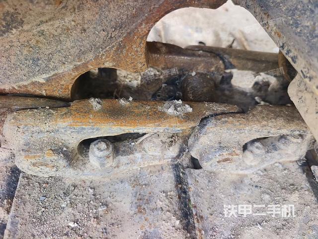 单侧履带整体（整机外观）