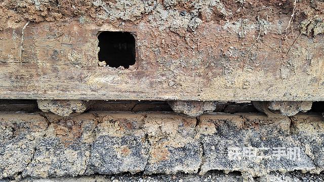 单侧履带整体（整机外观）