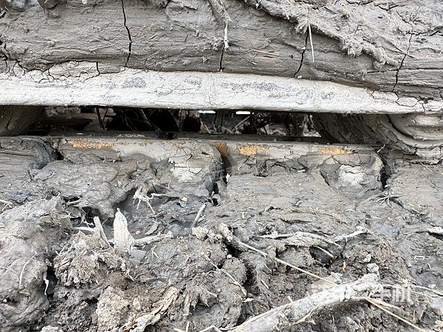 单侧履带整体（整机外观）