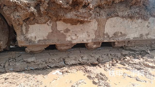 单侧履带整体（整机外观）