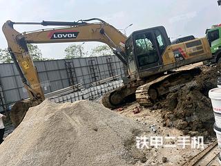 滁州雷沃重工FR225E2挖掘机实拍图片