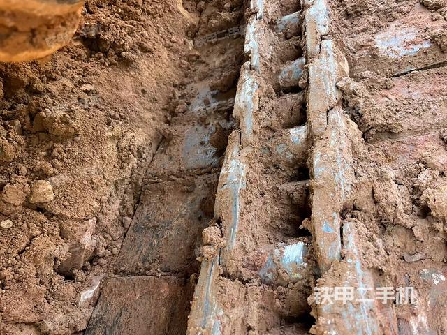 单侧履带整体（整机外观）