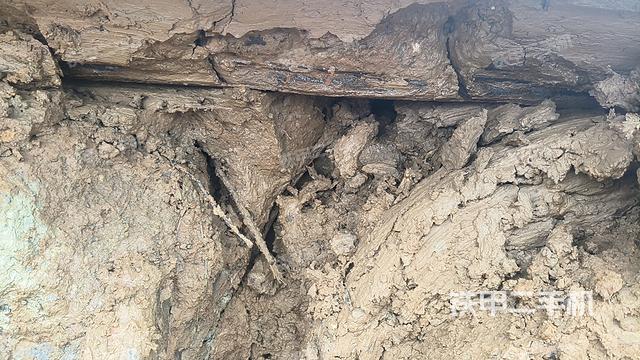 单侧履带整体（整机外观）