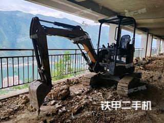 湛江三一重工SY26U挖掘机实拍图片