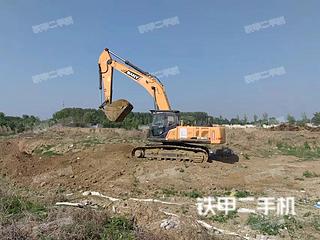 丹东三一重工SY305H挖掘机实拍图片