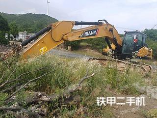 桂林三一重工SY245H挖掘机实拍图片