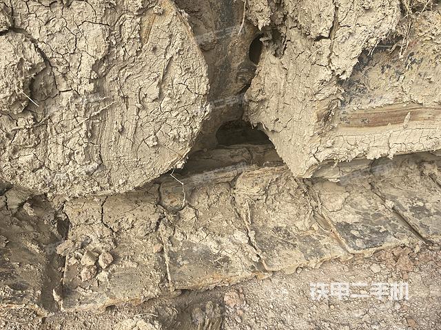 单侧履带整体（整机外观）