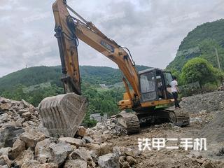 重庆雷沃重工FR220挖掘机实拍图片