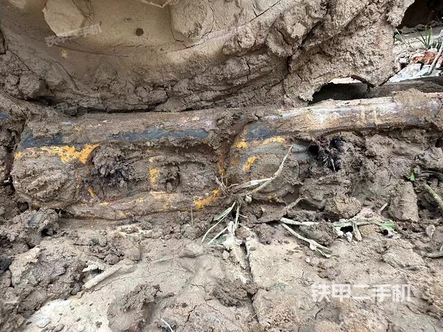 单侧履带整体（整机外观）