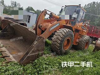 驻马店市出售 斗山 DL503 装载机