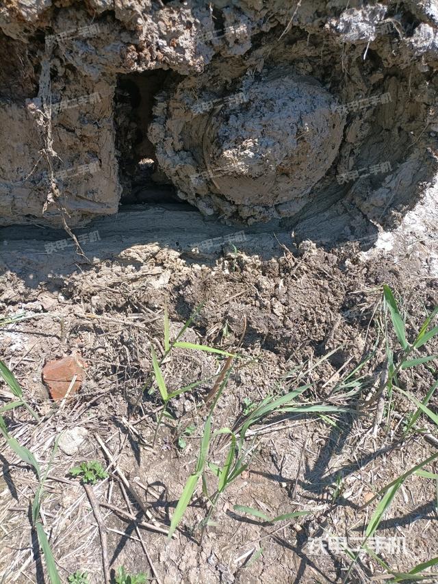 右驅(qū)動(dòng)輪（行走機(jī)構(gòu)）