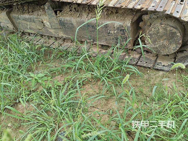 单侧履带整体（整机外观）