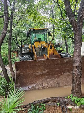 安徽-巢湖市二手山东临工L955装载机实拍照片