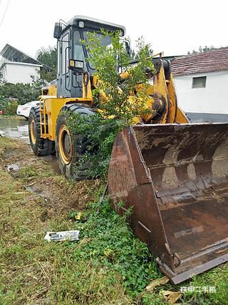 山东-泰安市二手柳工CLG855装载机实拍照片