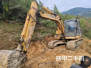 重慶柳工CLG915D挖掘機實拍圖片