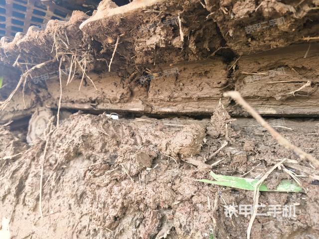 右導向輪（行走機構(gòu)）