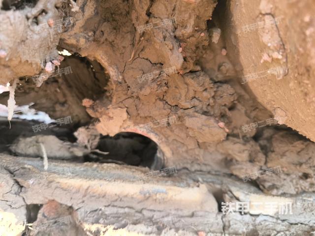 右側(cè)履帶整體?（行走機(jī)構(gòu)）