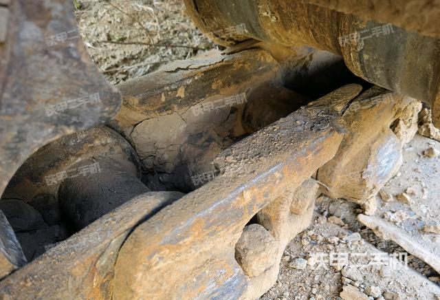 左托鏈輪和鏈筋（行走機構(gòu)）