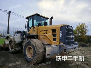 山東臨工L955F裝載機(jī)