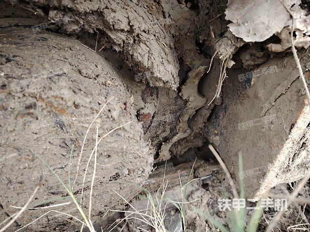 單側(cè)履帶整體(整機(jī)外觀) 單側(cè)履帶整體(整機(jī)外觀)