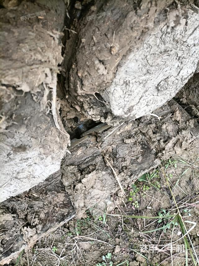 右驅(qū)動輪（行走機(jī)構(gòu)）