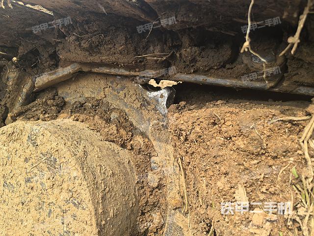 單側(cè)履帶整體（整機外觀）