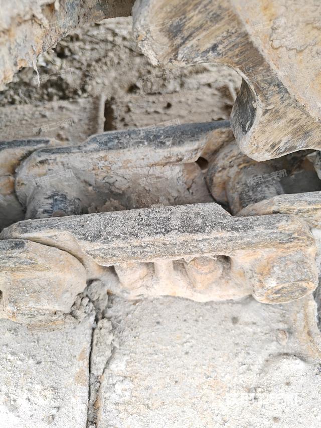 右導向輪（行走機構）