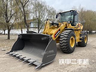 雷沃重工FL955F-II裝載機(jī)