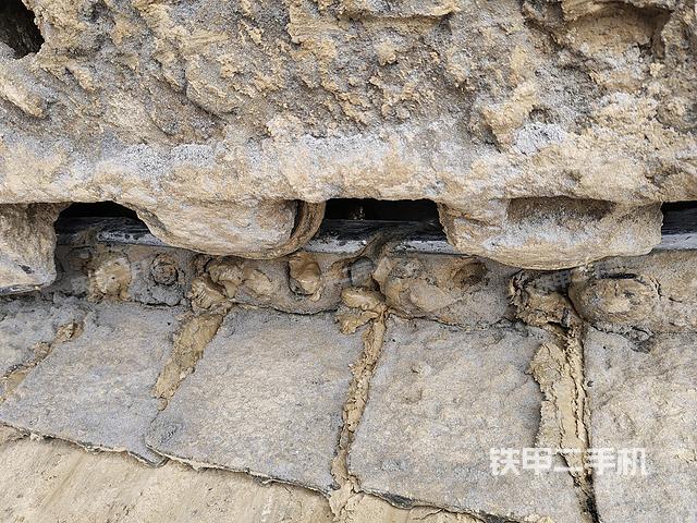 單側履帶整體（整機外觀）