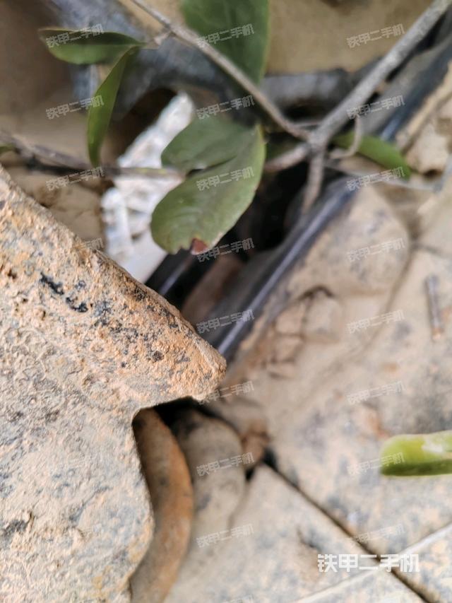 右驅(qū)動(dòng)輪（行走機(jī)構(gòu)）