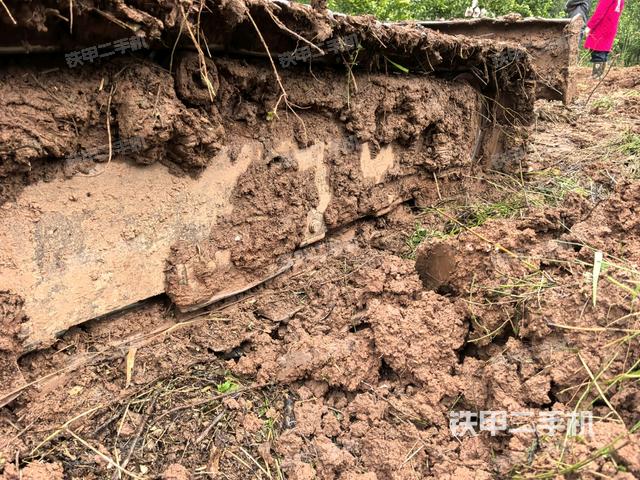 右導向輪（行走機構(gòu)）