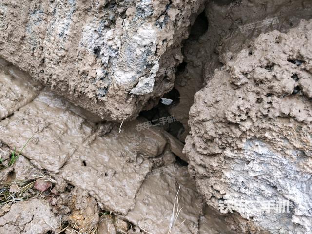 右側(cè)履帶整體?（行走機(jī)構(gòu)）