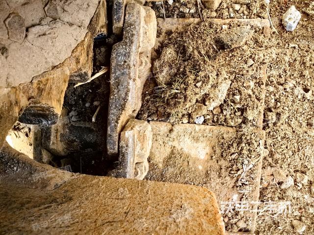 右驅(qū)動輪（行走機(jī)構(gòu)）