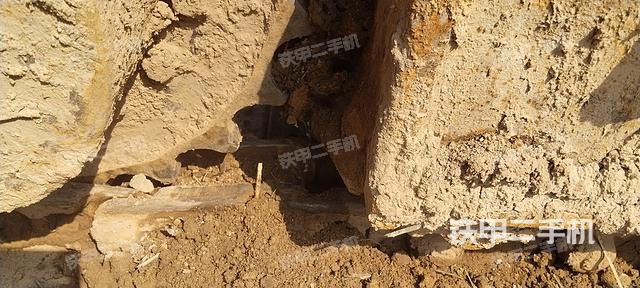 单侧履带整体（整机外观）