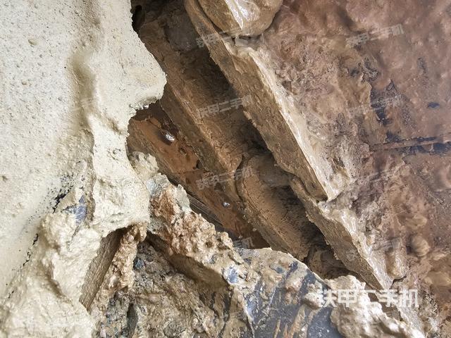 右驅動輪（行走機構）