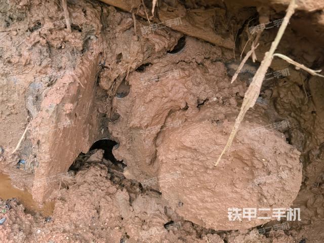 單側(cè)履帶整體（整機(jī)外觀）