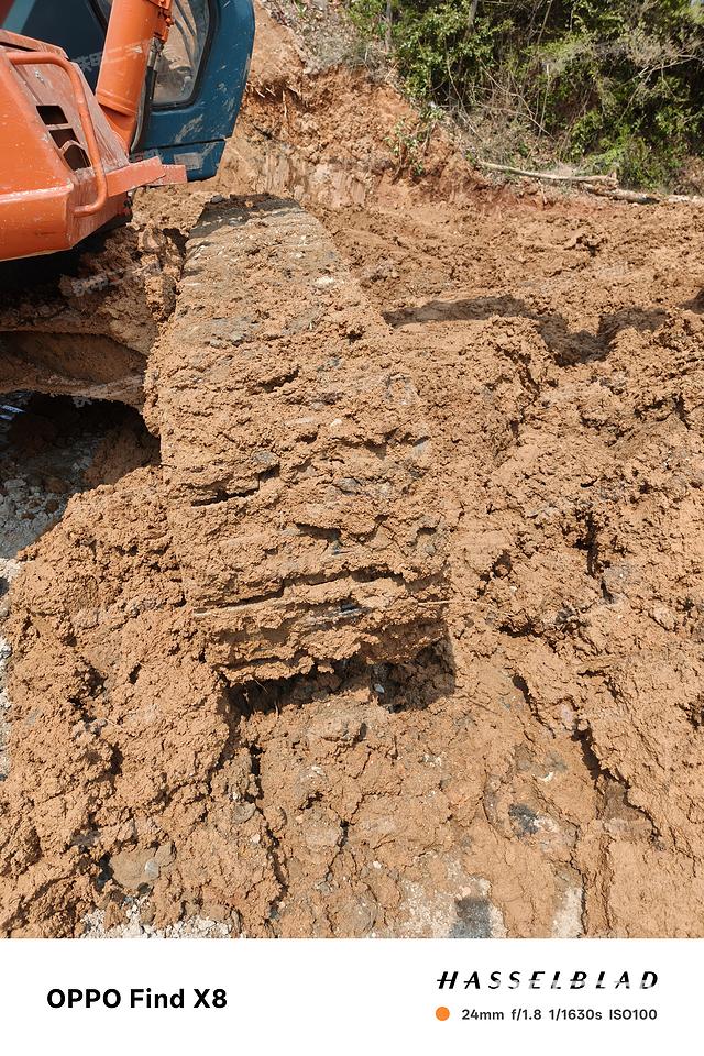 单侧履带整体（整机外观）