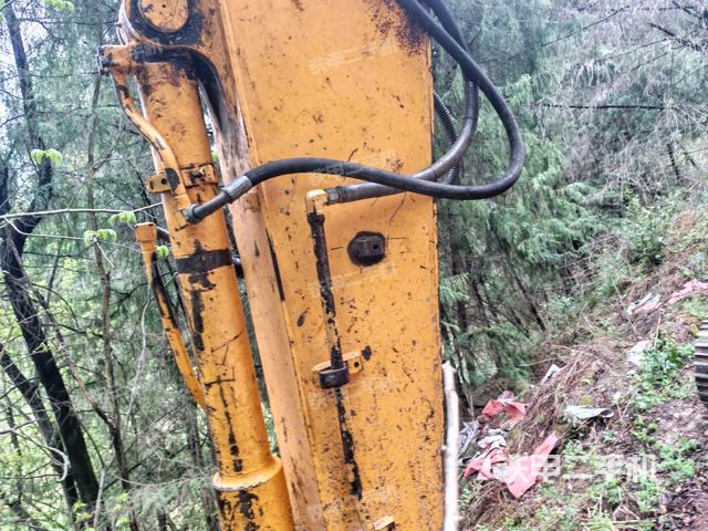 小臂整體左后（工作和回轉(zhuǎn)裝置）