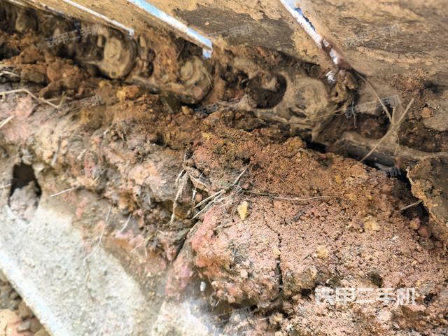 左側(cè)履帶整體?（行走機(jī)構(gòu)）